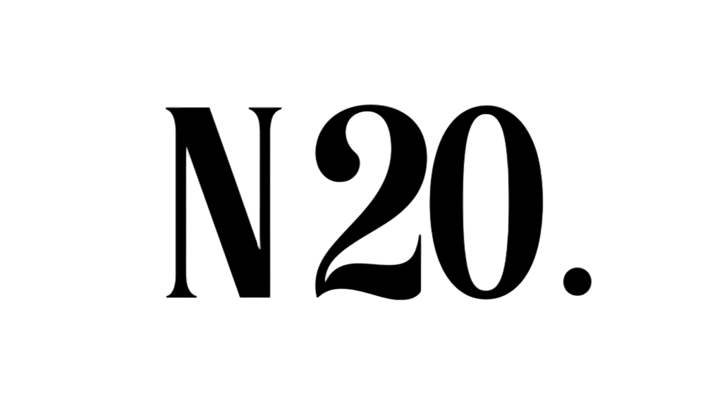 n20 logo